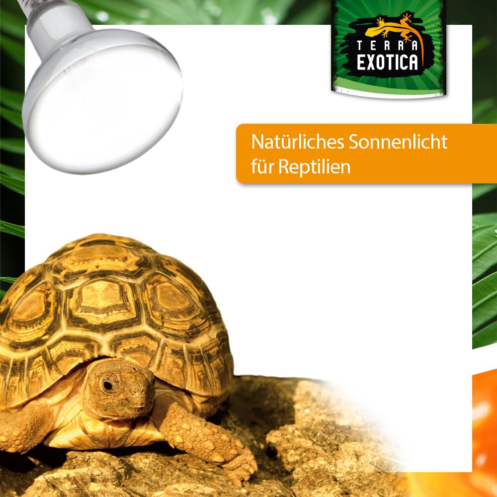 Terra Exotica D3 UV Heat Spot 80 Watt - in 80, 100 und 125 Watt erhältlich - UVB UVA Wärmelampe für Reptilien Sonnenlicht simulierte Förderung der D3-Synthese (80 Watt)