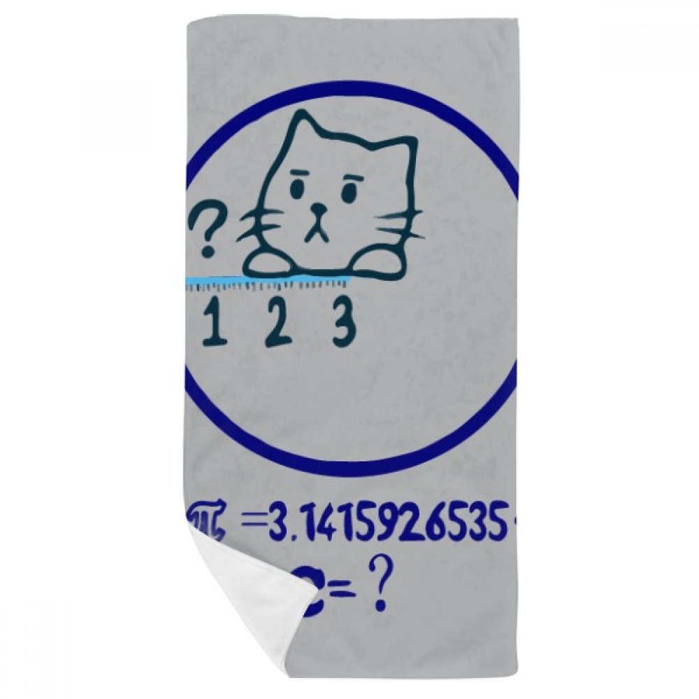 Serviette de bain chat mathématicien 35x70cm idée cadeau originale