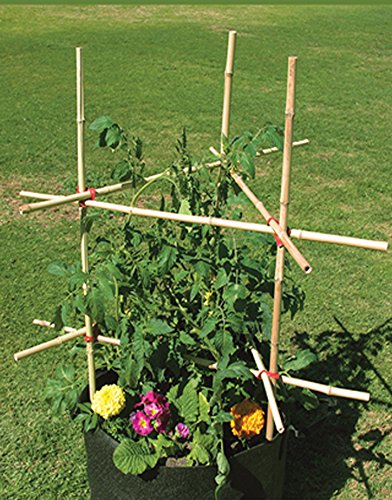 Garden Things Gc-2003 Stretch Rubber Plant Stake Connecter, 3-Hole, Black #TOP7