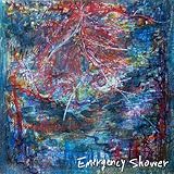 Emergency Shower