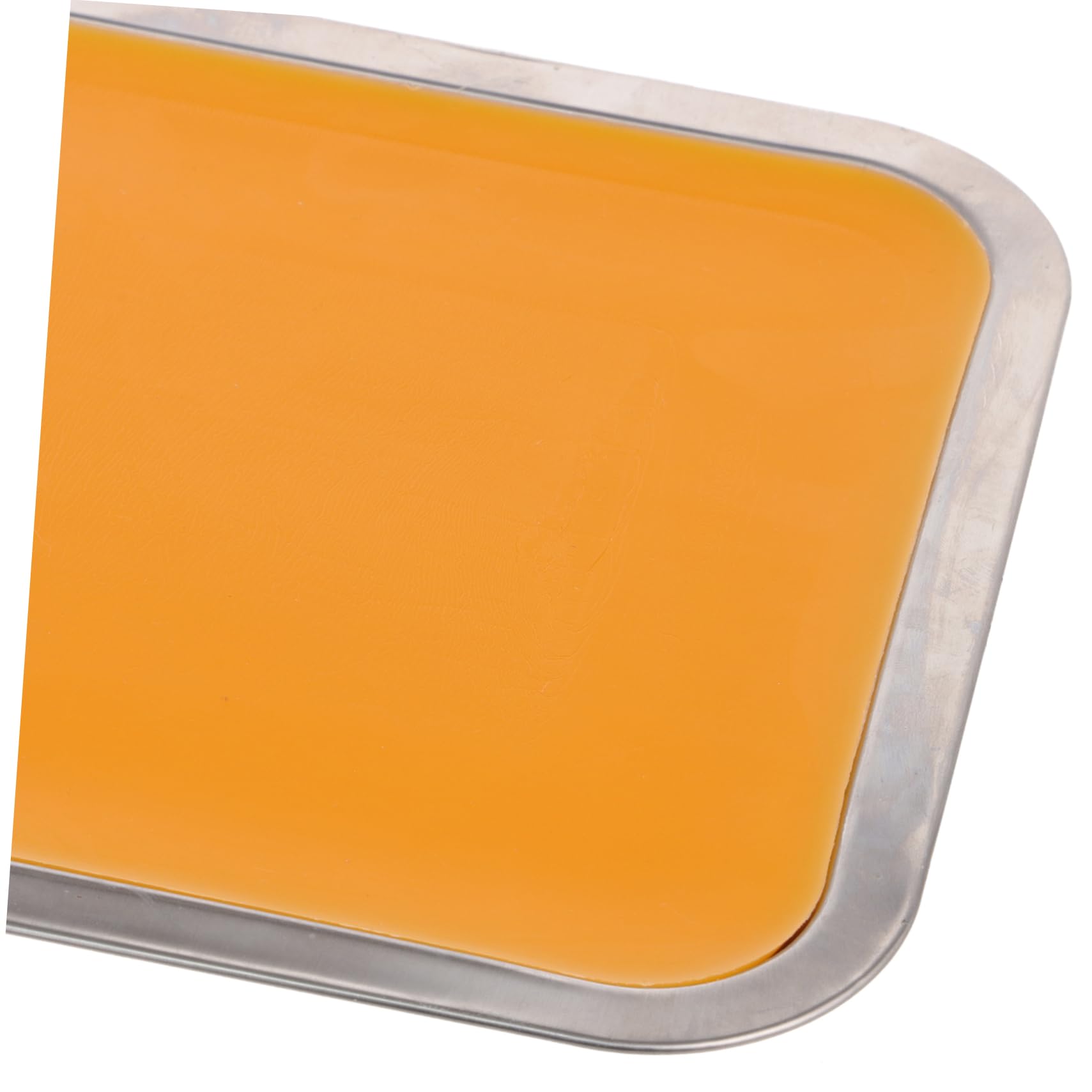 Gatuida Plateau de Dissection de Laboratoire Support de Cire Format A4 Plateau en Acier Inoxydable pour Étude de Découpe de Papier