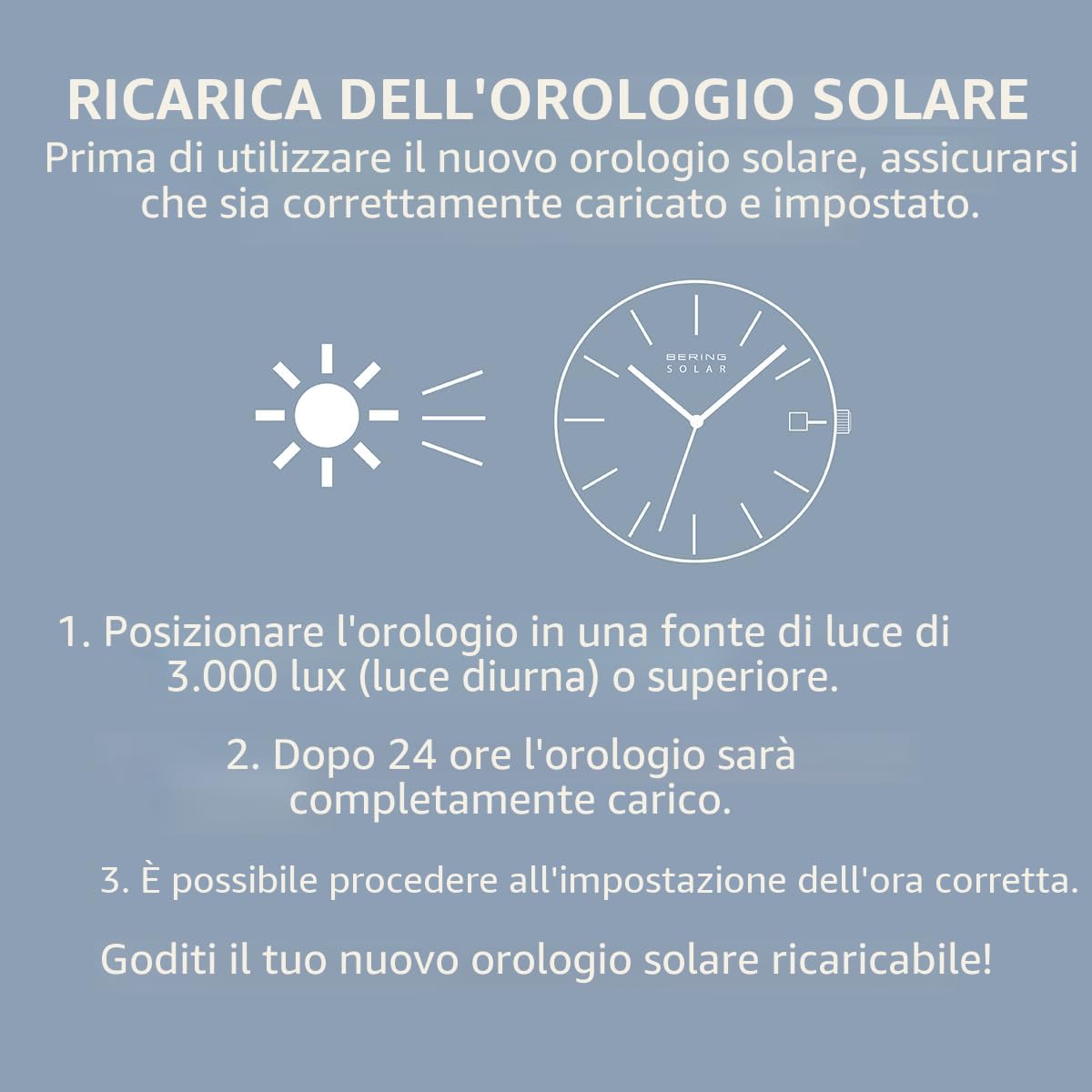 BERING Solar 14639-307 Orologio da