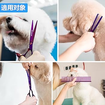 minori トリノライン サウンドドラマ「パブロフレコード」+グッズの minori トリノライン サウンドドラマ「パブロフレコード」+グッズの