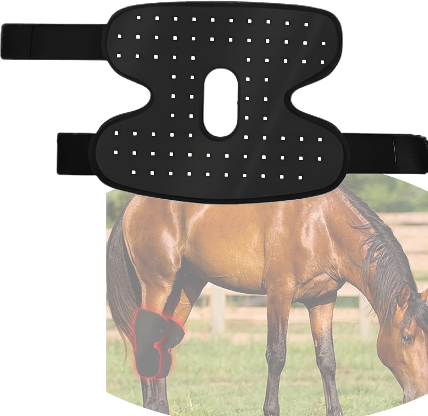 Red Light Therapy Belt for Horse Knees, Portable Equine Red Light Device for Pain Relief, Dual Wavelength 660Nm 850Nm, Adjustable Modes for Equine Joint & Muscle Recovery(1PCS)