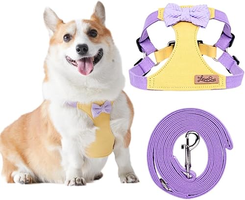 Juego de arnés y correa para mascotas sin tirones, arnés de chaleco ajustable, suave para perros y gatos pequeños y medianos, regalo para mascotas