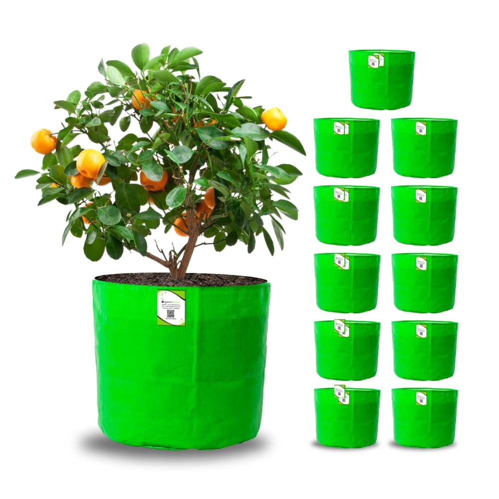 ORGANIC BAZAR 18"x18" HDPE Big Grow Bags for Terrace Gardening | 220 GSM Green Large Plant Bag (Pack of 12) (B0D4255MM5) Amazon Price History, Amazon Price Tracker