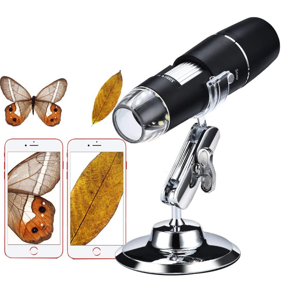 Buy WYKDL 40X1000X Magnification Head ResearchGrade Trinocular