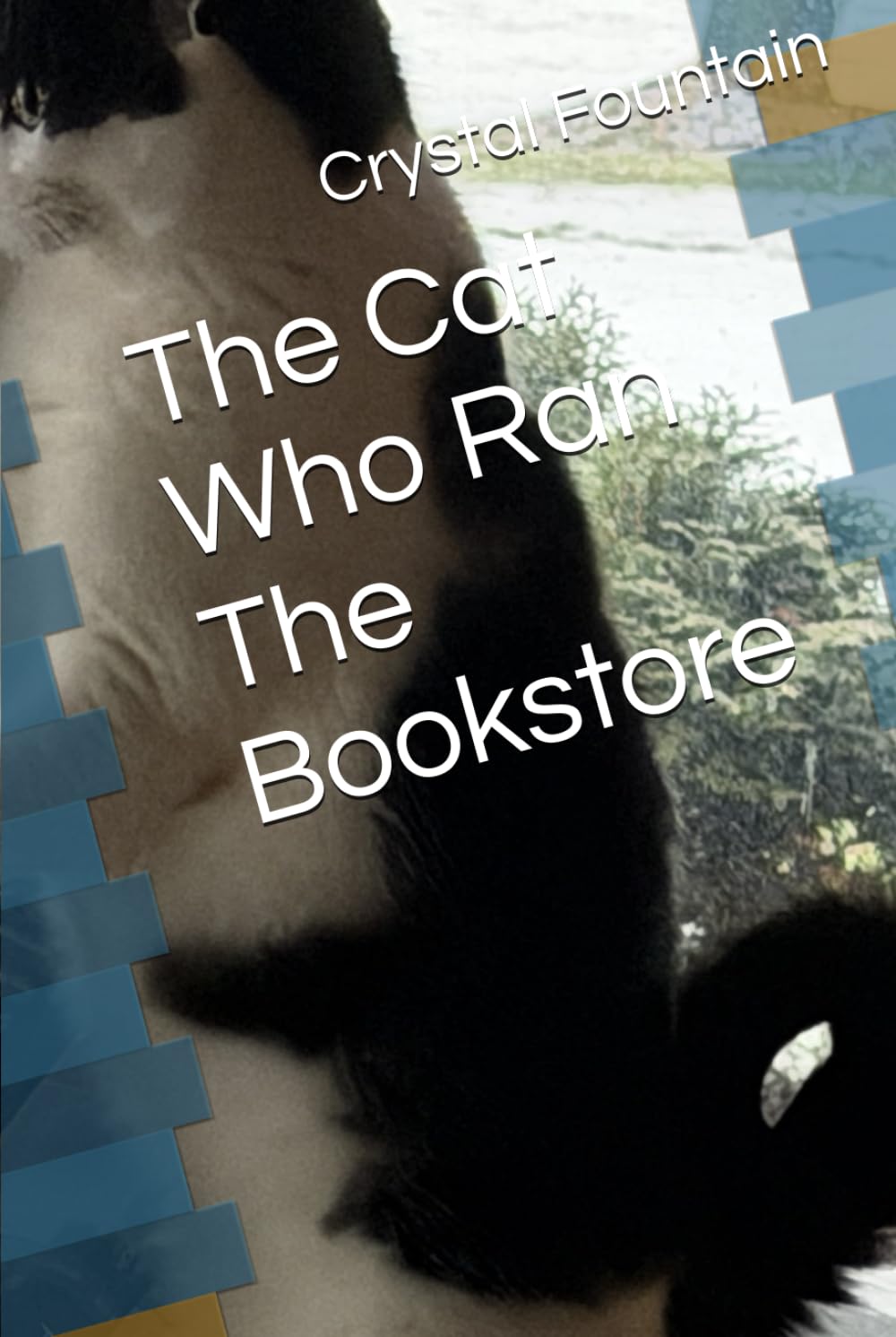 The Cat Who Ran The Bookstore
