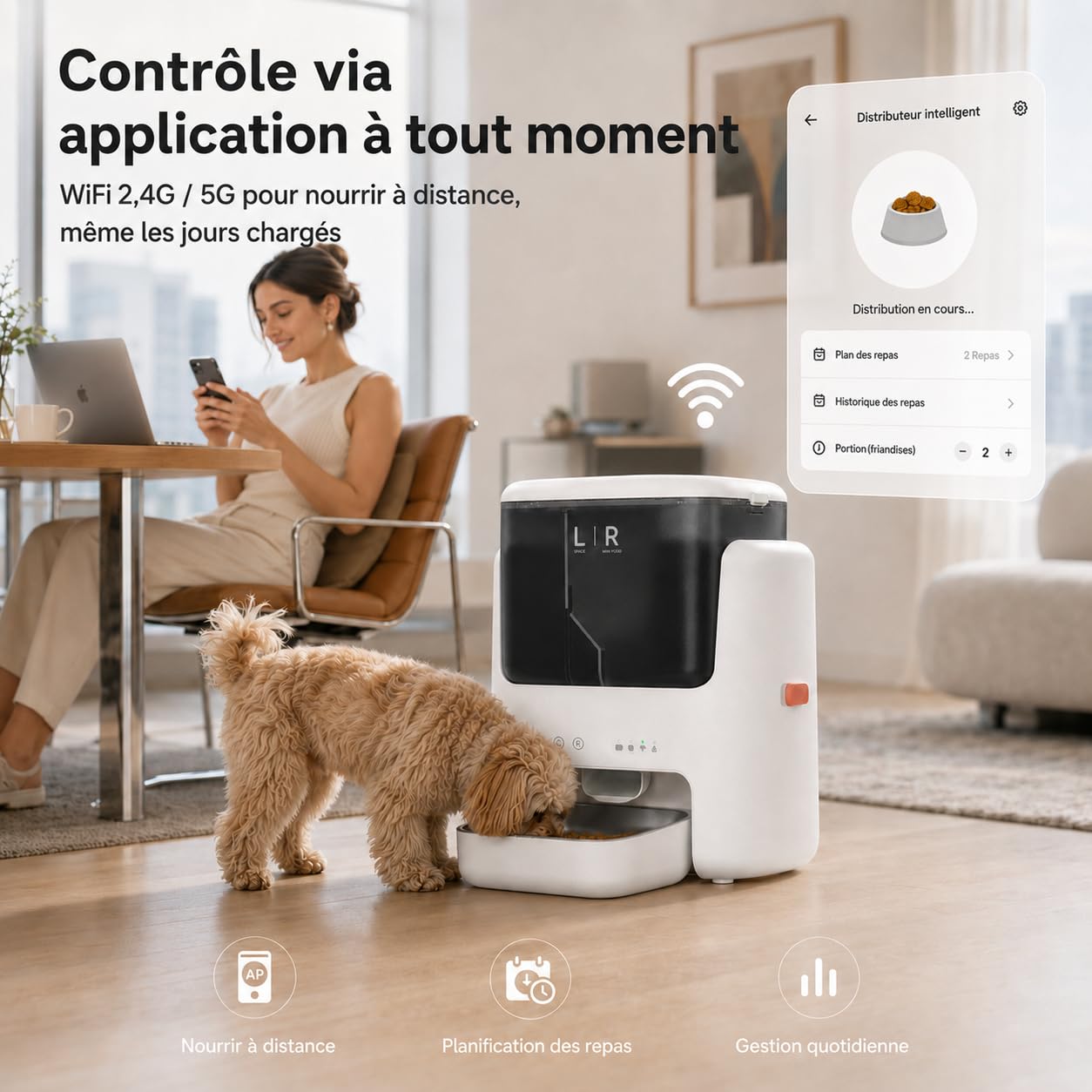 Distributeur Intelligent Chat pour croquettes et friandises sèches