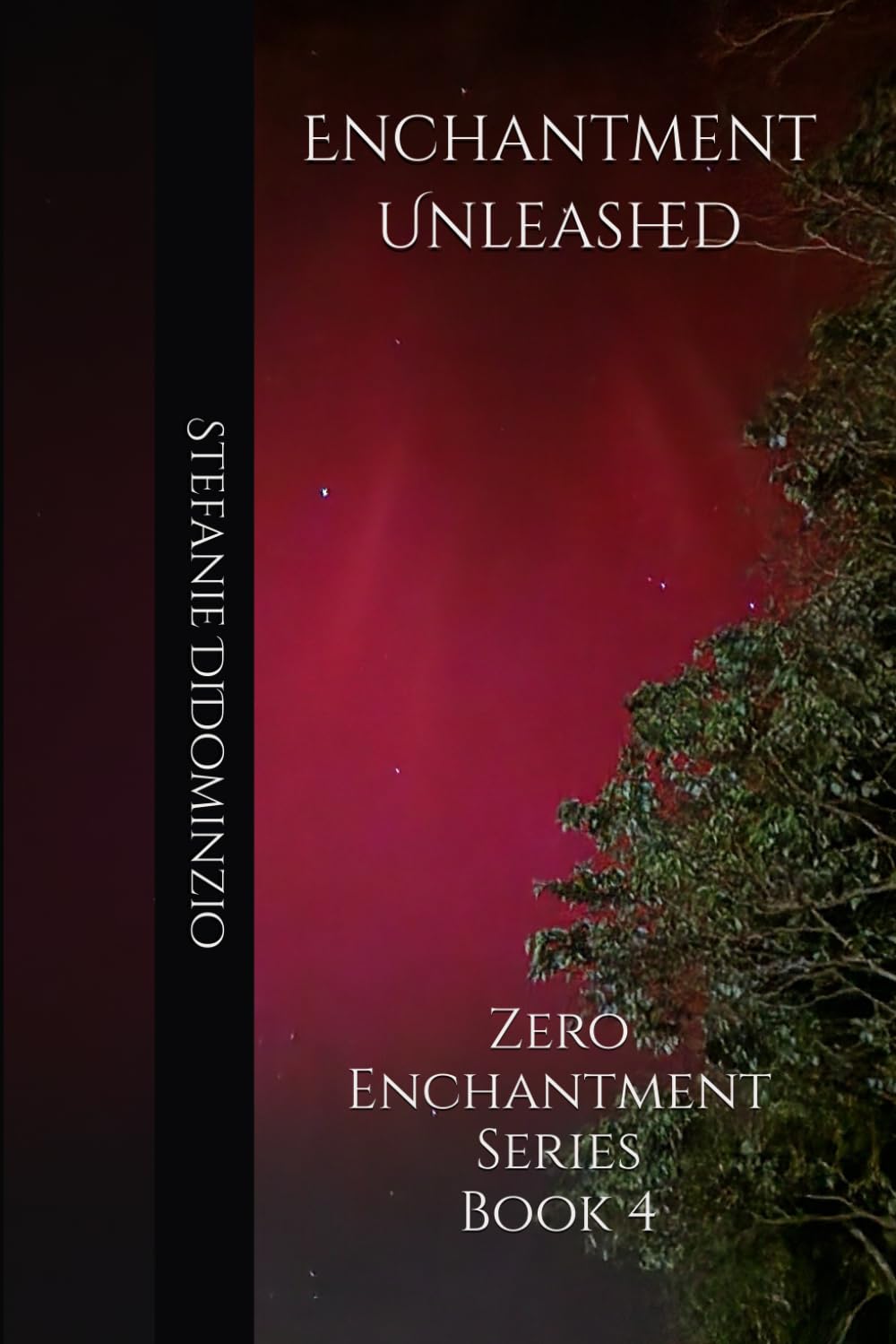 Enchantment Unleashed: Zero Enchantment Series Book 4
