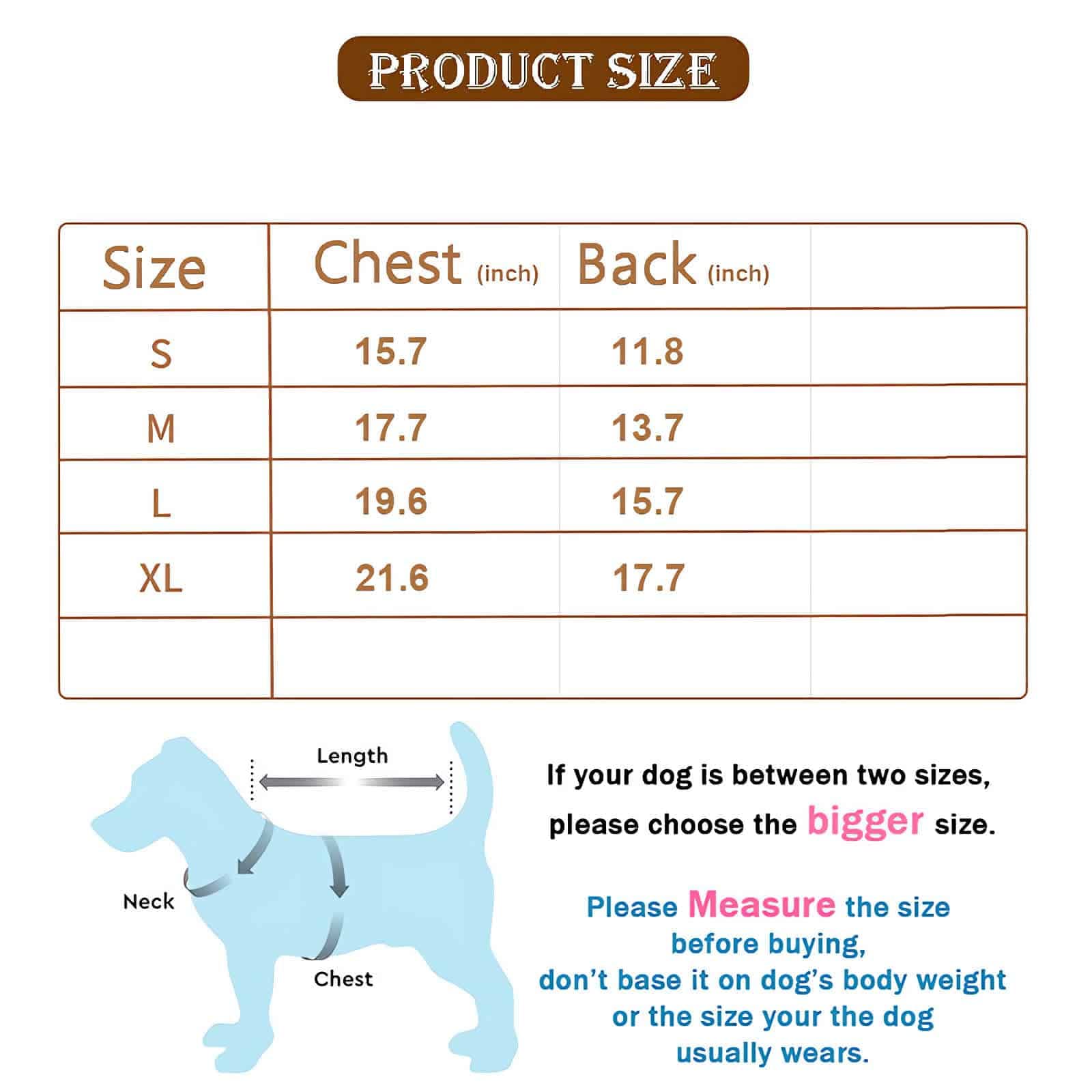 https://m.media-amazon.com/images/I/618QvC6wXLL.jpg