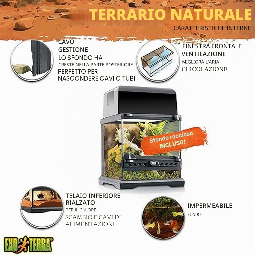 Exo Terra - Micro terrario in vetro con ambientazione per rettili, dimensioni 20 x 20 x 20 cm