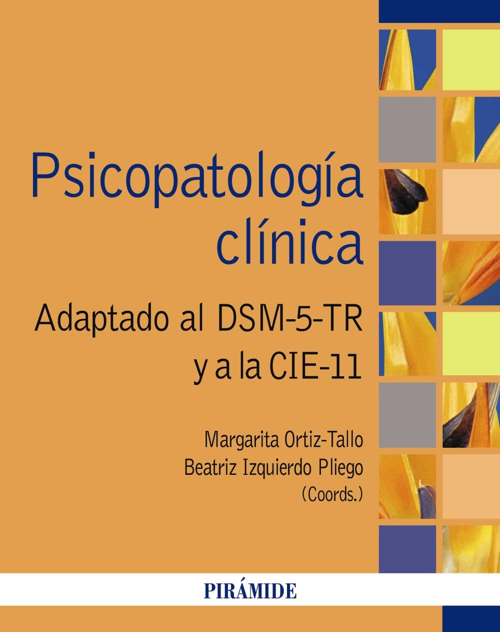 Psicopatología clínica: Adaptado al DSM-5-TR y a la CIE-11 (Psicología)