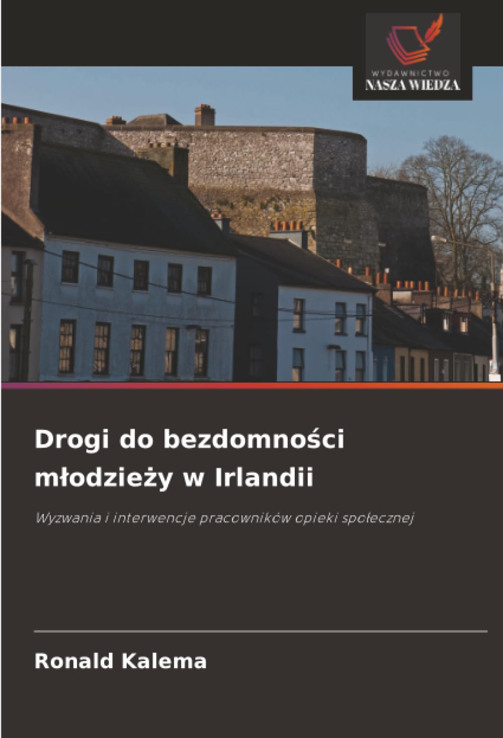 Drogi do bezdomno¿ci m¿odzie¿y w Irlandii: Wyzwania i interwencje pracowników opieki spo¿ecznej