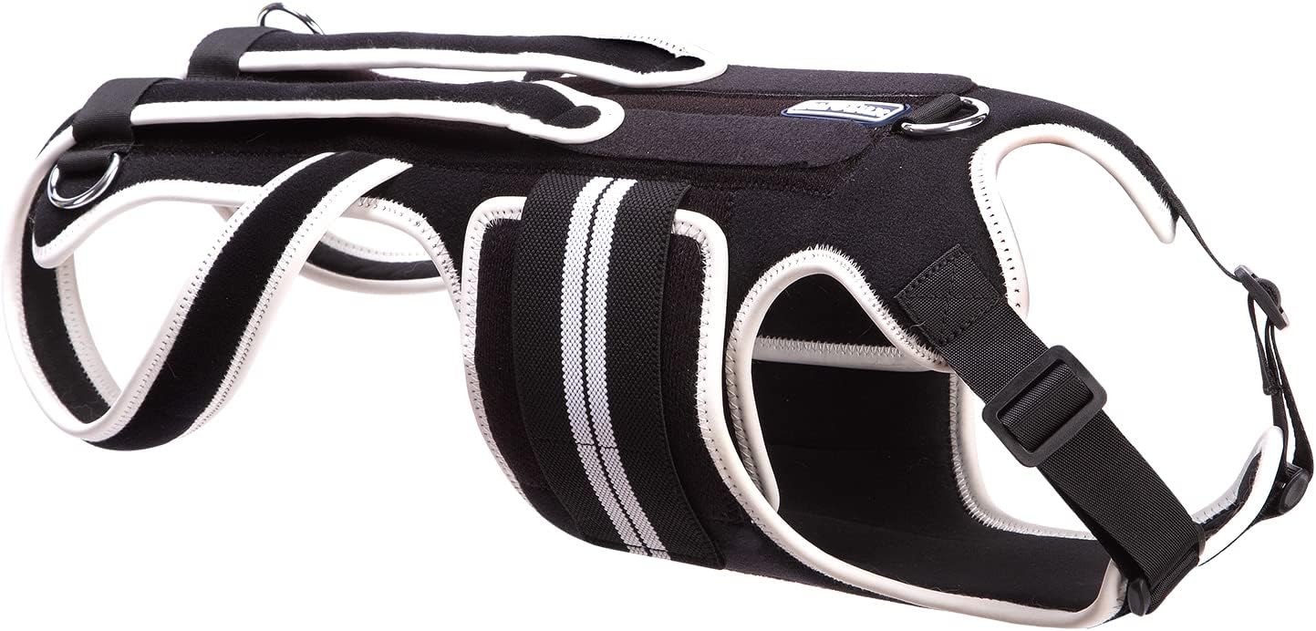 Back Brace for Dogs with IVDD, Arthritis, Luxating Patella, Surgical Recovery and Rehabilitation, Dachshund Back Pain Relief, IVDD Harness(Medium)
