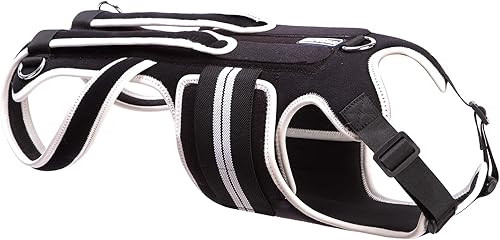 Miniatura 2 de Soporte de espalda para perros con IVDD, artritis, dolor de espalda, recuperación quirúrgica y rehabilitación, alivio del dolor de espalda de perro