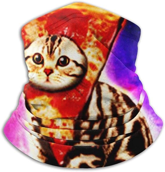 Amazon Co Jp 面白い猫のミーム ネックガード バラクラバ ハーフ仮面 防寒 防塵 Uvカット アウトドア スキー スポーツ 速乾 防風 仮面 ホビー