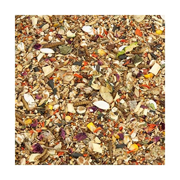 Mr. Crumble Dried Pet Food Mäuse-Futter für Farbmäuse 1000g – Bild 5