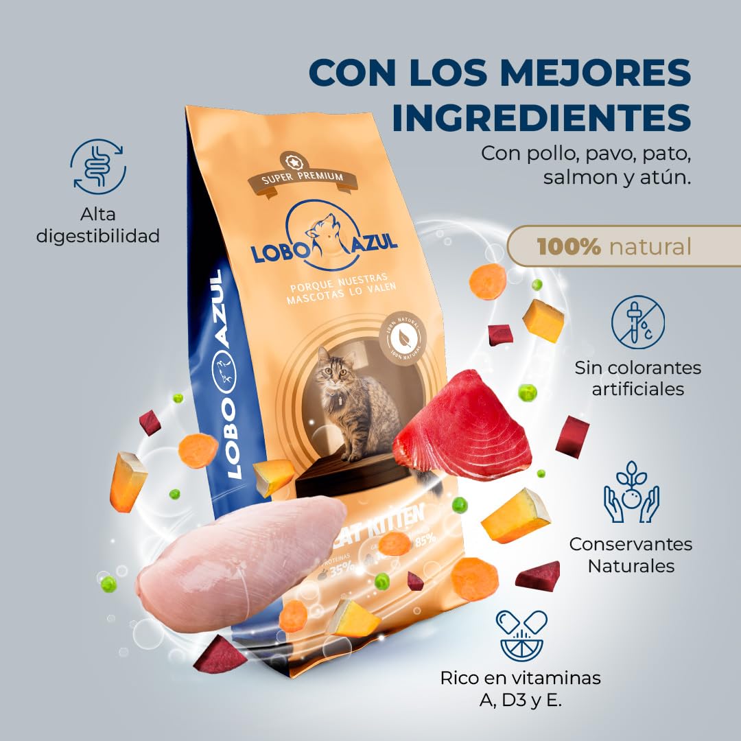 Pienso para Gatos Kitten Sin Gluten - Comida Natural para Gatitos Bebés - con Pollo, Pavo y Salmón - 15kg - Lobo Azul Kitten
