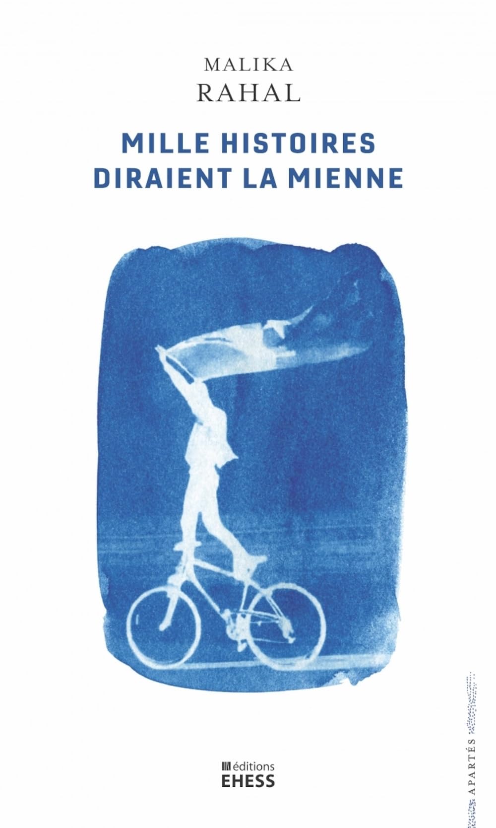 Mille histoires diraient la mienne - L’historienne, les témo: L’historienne, les témoins et leurs récits