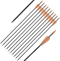 YLSIO Fiberglass Practice Arrows 24-30 Inch Safe Target Arrows for Youth Beginners Recurve Bow Archery
