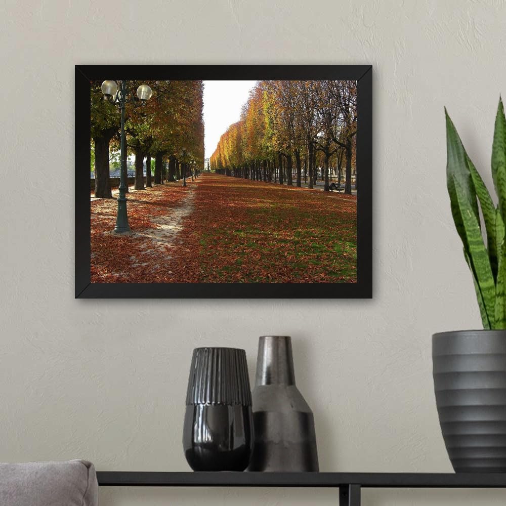 GADGETS WRAP Printed Photo Frame Matte Painting for Home Office Studio Living Room Decoration (11x9inch Black Framed) - Kema Sakuranomiya Park During Autumn