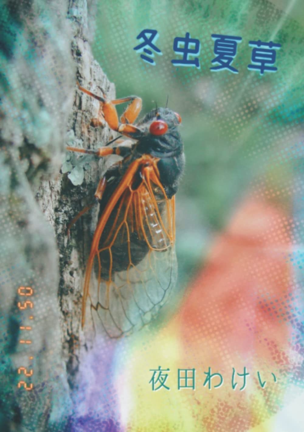 Amazon.co.jp: 冬虫夏草: 虫のお医者さんの物語 (蟲医シリーズ) : 夜田