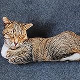 Hochwertiges weiches Material: Hergestellt aus hochwertigem, umarmtem weichem Plüschmaterial, Füllmaterial-PP-Baumwolle, komfortabler und weicher hochwertiger Plüsch