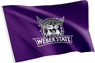 Desert Cactus Weber State University WSU Flag - 3 x 5 Feet Wildcats Banner, Indoor/Outdoor Durable Fabric, 100% Polyester Design (Style 1)