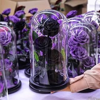 Caja de regalo de rosa eterna, flor real preservada en cúpula de cristal para mujer, día de San Valentín, día de la madre, Navidad, boda, opción de color negro