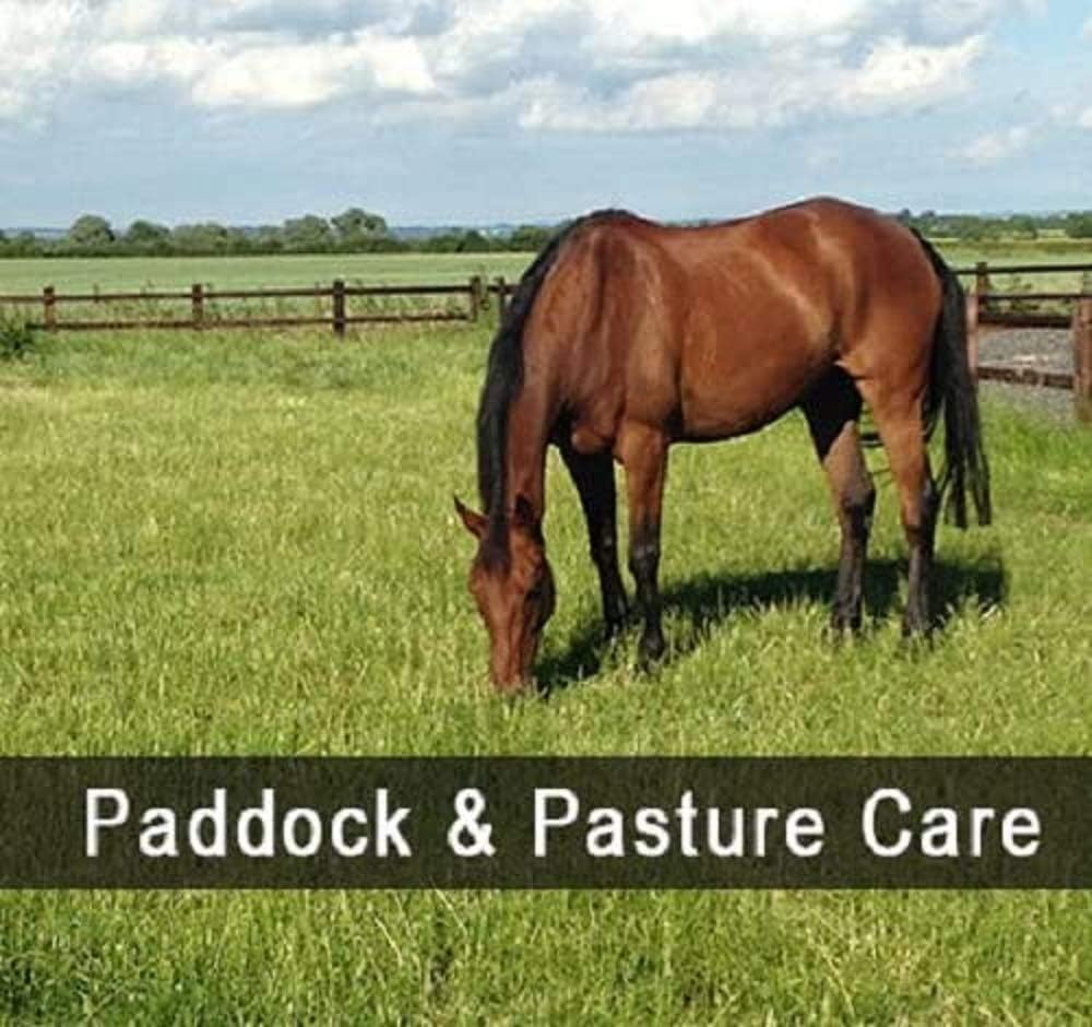 1 Acre Horse Pony Paddock Mix Repair Paddock OVERSEED Pastures Grass