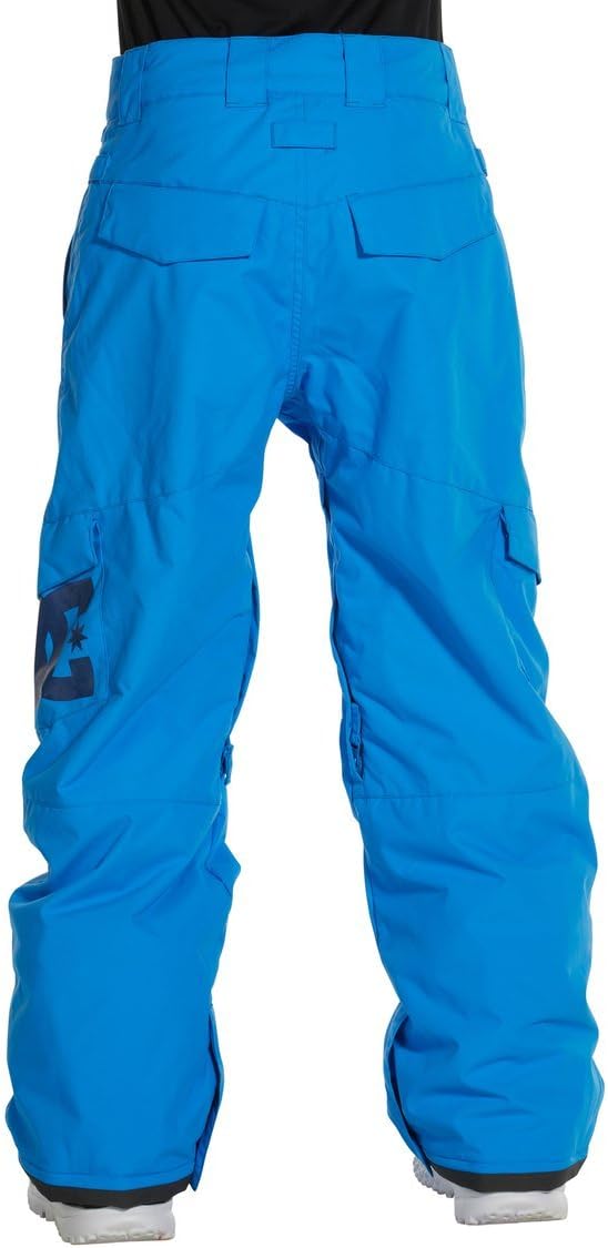DC Apparel Big Boys' Banshee K 15 Snow Pant