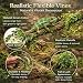 HERCOCCI 2 Pack Reptile Plants, Terrarium Hanging Plants Vines Artificial Leaves Habitat Decorations with Suction Cup for Bearded Dragon Hermit Crab Lizard Snake Geckos Chameleon