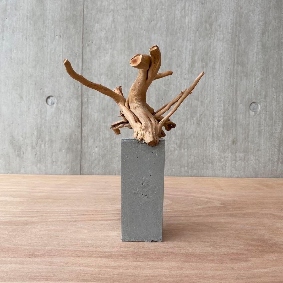 コンクリート盆栽 流木オブジェ ディスプレイ 高級感 スタイリッシュ