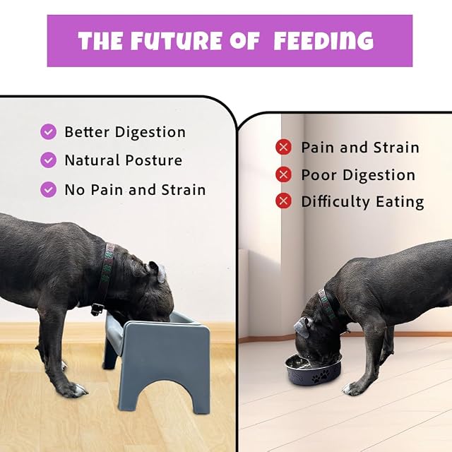 Foto 6 de 7 de Fluff Trough, Comedero elevado de alimentación lenta para perros y gatos