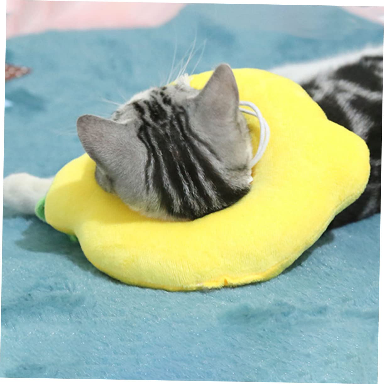 VANZACK 6pezzi Collare Protettivo Regolabile Per Gatti e Cani Cono Per Post-operazione Design Sicuro
