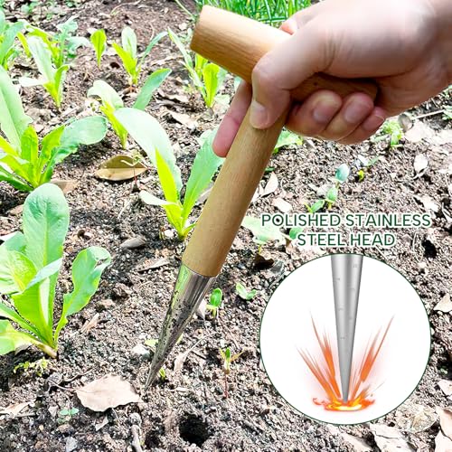 1 Stück Blumenzwiebel-Pflanzwerkzeug-Set, Zwiebelpflanzer mit Kalibrierung, Aussaat-Samenspender, Dibber & Gabel Aussaat-Samenspender für die Gartenbepflanzung und Saatgutverteilung