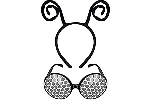 Poptrend Fly Wings Costume Adult