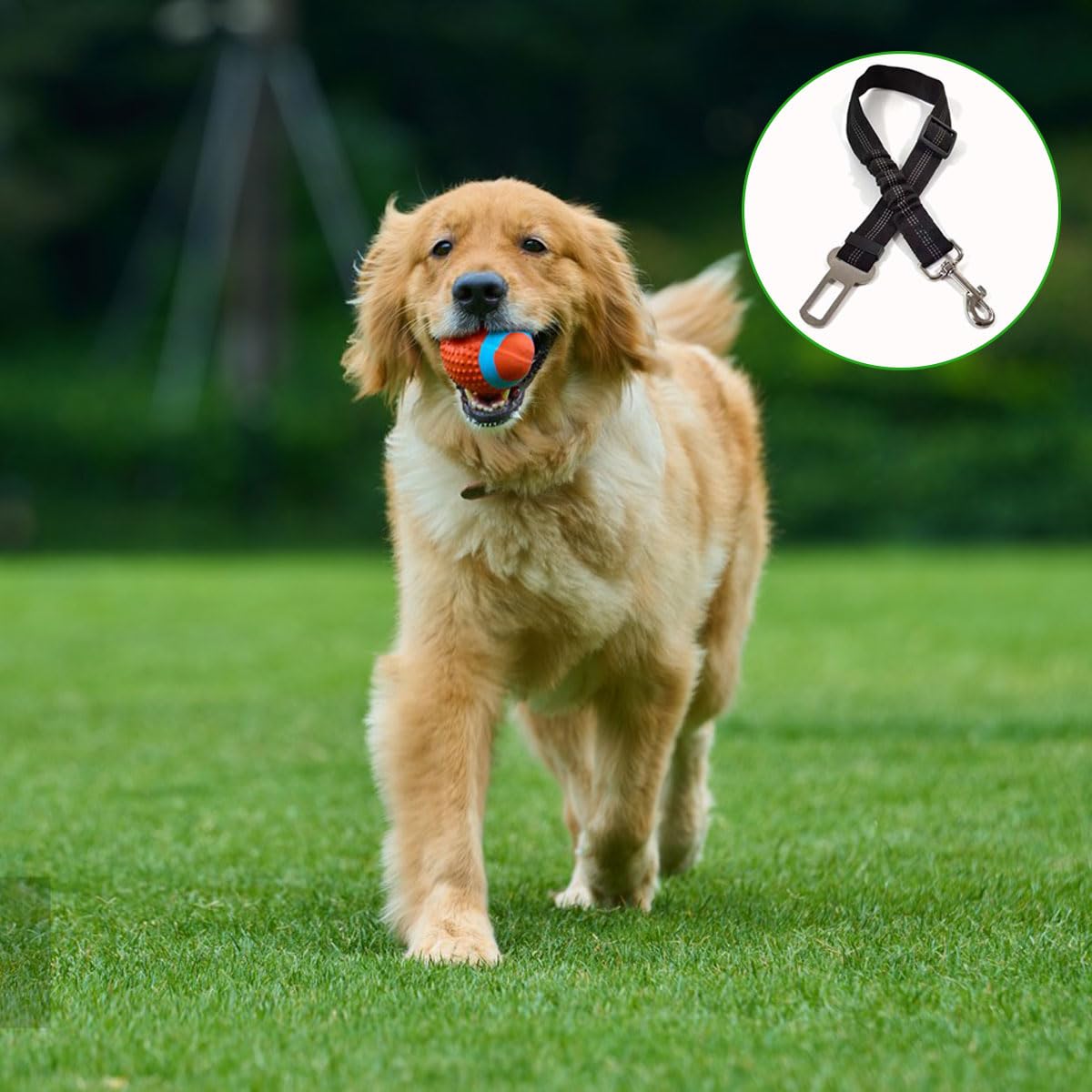 2PCS Ceinture Chien Voiture, Harnais, Ceinture Securite avec Absorption des Chocs et Mousqueton pour Tout Type de Voiture pour Tous Les Chiens et Chats