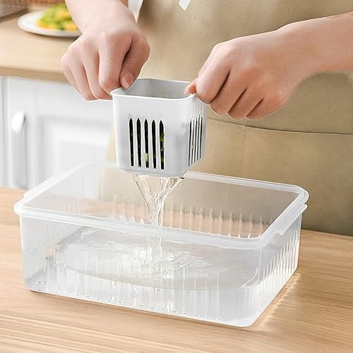 Miniatura 3 de Recipientes de almacenamiento de alimentos con tapas herméticas, caja de conservación de cebolleta para refrigerador, contenedor de conservación de