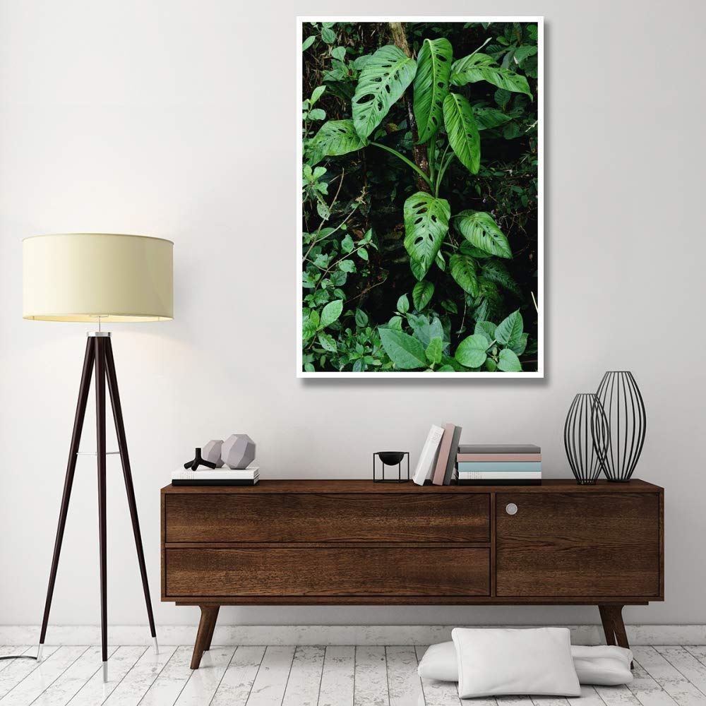 Artworks Italia Monstera vid creciendo en la base del árbol en la selva tropical, Panamá-Paper Art-42 x 62 pulgadas