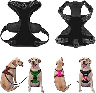 Custom Name Harness for Dog, Personalized Dog Harness for Small to Large Dogs, No Pull Dog Vests, BlankBlack, L