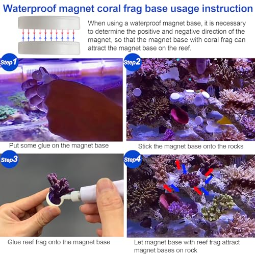 Image of Aquarium Choice 10 pcs 0.95 Inch Waterproof Magnet Coal Reef frag Base Coral fragging Kits(10pcs Magnetic Coral Base)