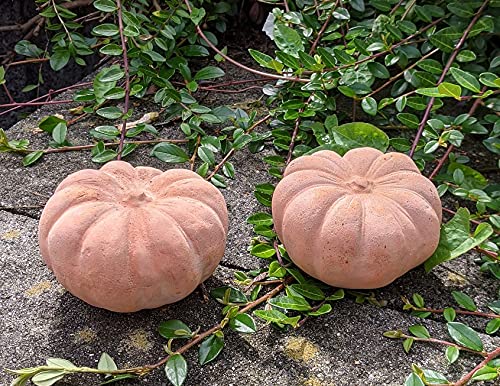 B-Ware ! Kürbisse 2er Set aus Terracotta Terrakotta, 2 x ø 11 cm...