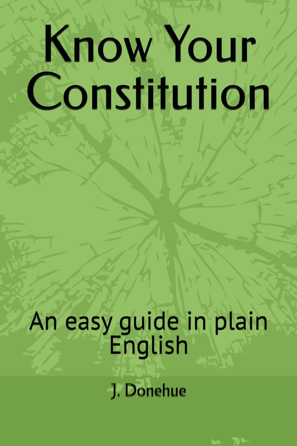 Know Your Constitution: An easy guide in plain English (Know Your Government)