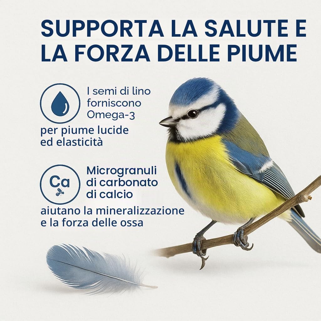 GiDeli Mangime invernale per uccelli, 25 kg, per uccelli selvatici, tutto l'anno, per giardino e balcone, con semi di lino, ricco di omega-3, calcio, senza additivi