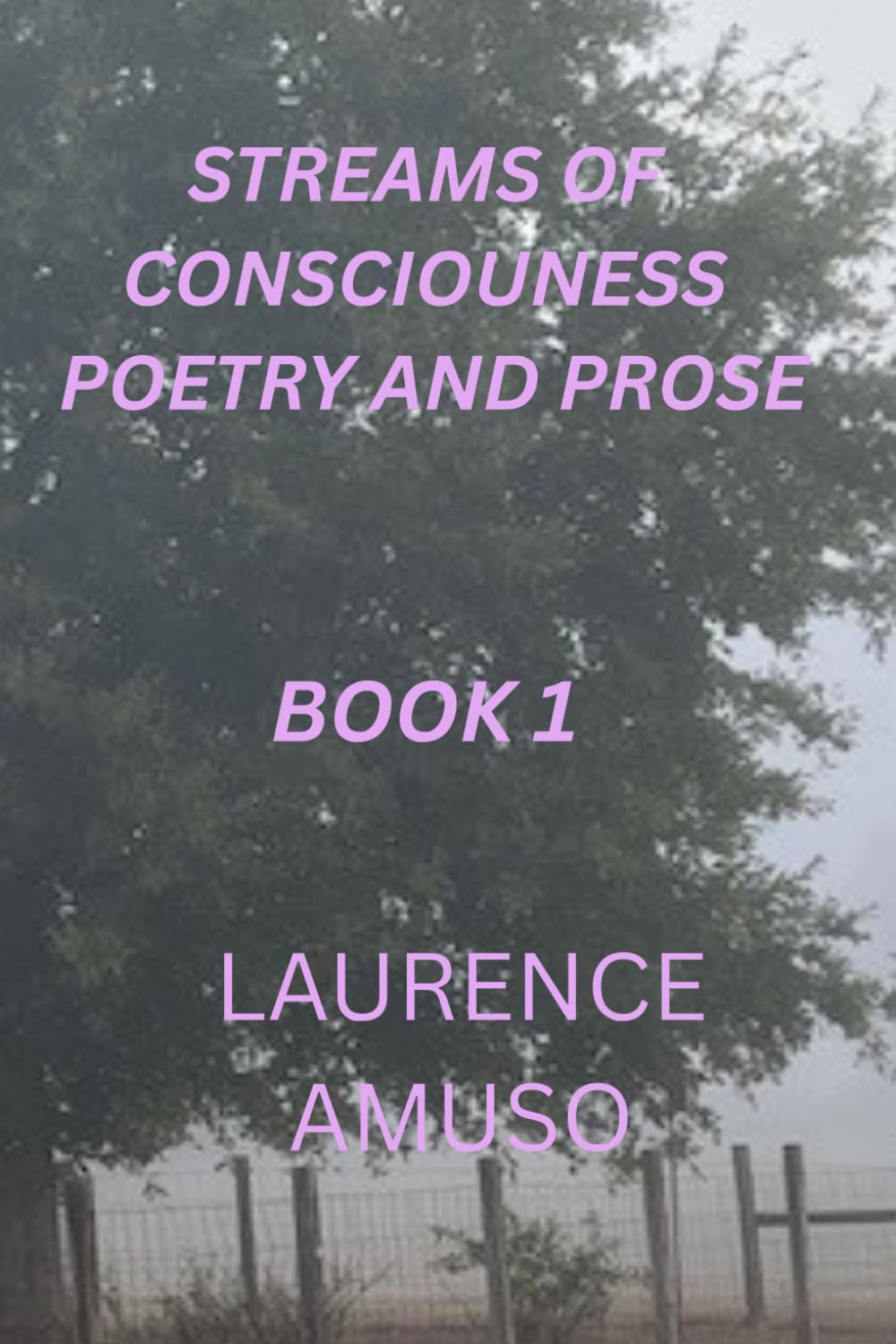 STREAMS OF CONSCIOUSNESS POETRY ` AND PROSE BOOK I