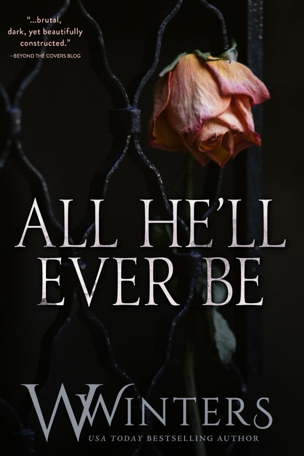 Merciless World Series — All He'll Ever Be — Romantic Suspense Novel (Band 1)