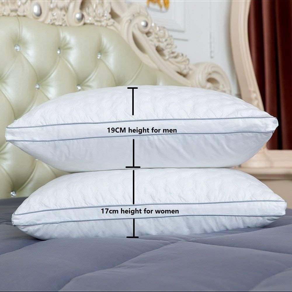 MANZOO MZ-2PC Bed Pillows, Queen (Pack of 2), White 2 Count