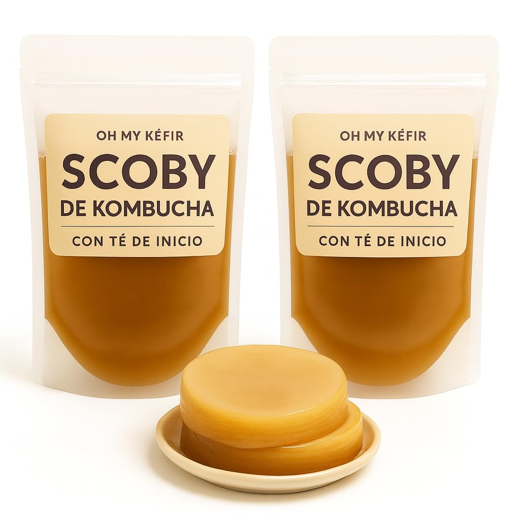 Pack 2X Disco SCOBY Kombucha Fresco + Instrucciones + Recetas + Ayuda y Asesoramiento en español - OH MY KÉFIR